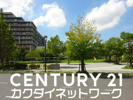 Z˂̒]ʐ^@-