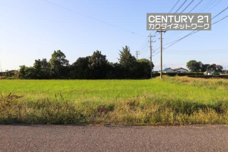 ̑n@zǍDIz̗ǂnŎĂB