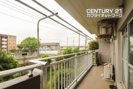 oRj[@t̃oRj[ŋ}ȉJŐ󕨂GĂ܂Sz܂B