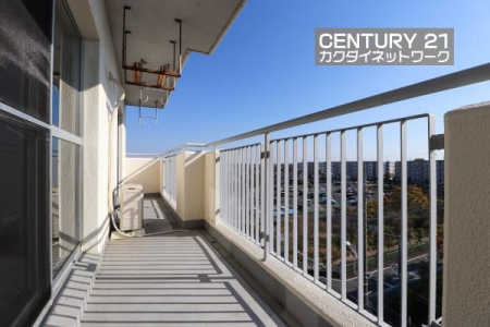 �o���R�j�[�@�����̗z�����~�蒍���A�����ɗz���܂�𐶂ݏo���Ă���܂��B