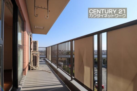 �o���R�j�[�@�����̗z�����~�蒍���A�����ɗz���܂�𐶂ݏo���Ă���܂��B