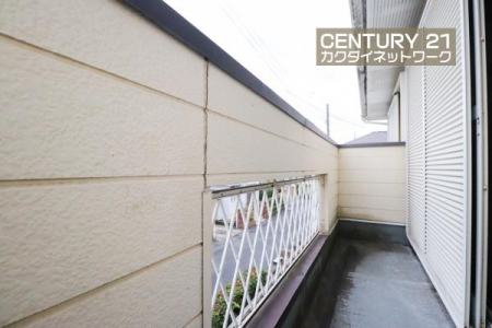 �o���R�j�[�@�����̗z�����~�蒍���A�����ɗz���܂�𐶂ݏo���Ă���܂��B