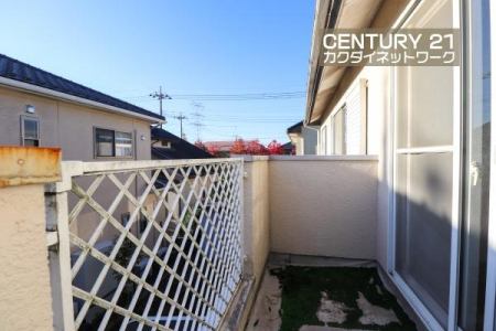 �o���R�j�[�@�����̗z�����~�蒍���A�����ɗz���܂�𐶂ݏo���Ă���܂��B