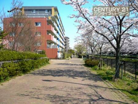 ���̑����n�@���̍L�������ň��S�B