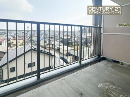 �o���R�j�[�@�����̗z�����~�蒍���A�����ɗz���܂�𐶂ݏo���Ă���܂��B