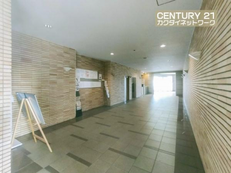 �@�}���V���������r�[