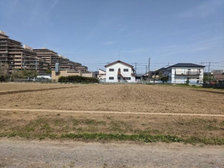 ���n�y�n�ʐ^�@-