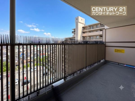 �o���R�j�[�@�����t���̃o���R�j�[�ŋ}�ȉJ�Ő��󕨂��G��Ă��܂��S�z������܂���B